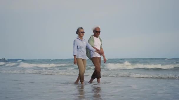 Boldog Ázsiai Idős Férfi Pár Kéz Kézben Sétálva Strandról Napos — Stock videók