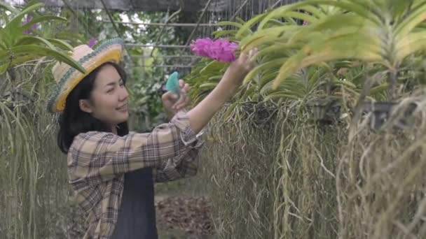 Muda Tersenyum Wanita Petani Bunga Anggrek Dengan Botol Semprotan Air — Stok Video