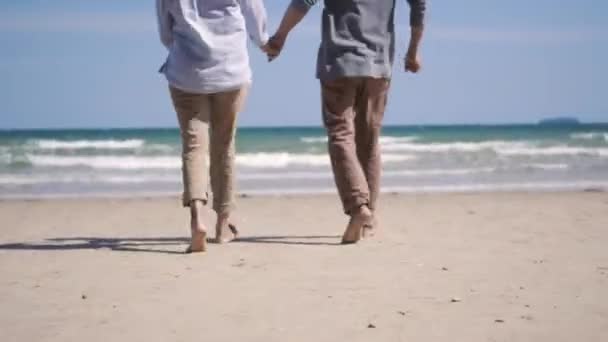 Happy Asian Senior Man Woman Couple Holding Hands Walking Beach — Stock video