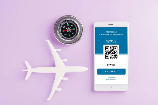 Modellflugzeug Reisepass Und Immunitätsausweis Sind Auf Dem Smartphone Auf Violettem — Stockfoto