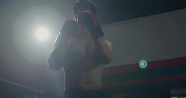 Boksör Kırmızı Boks Eldivenleriyle Dövüşüyor Spor Salonunda Hava Egzersizi Yapıyor — Stok video