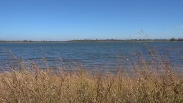 아름다운 저수지 옥외푸른 하늘의 — 비디오