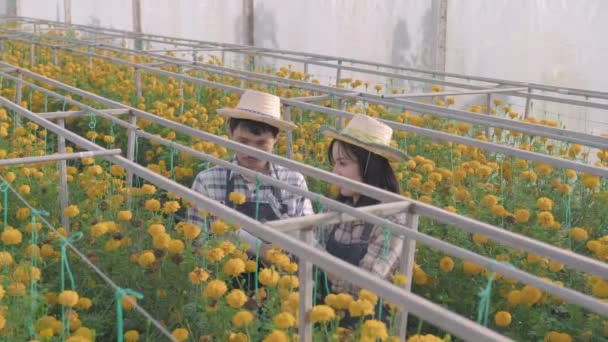 Jonge Boer Werkt Met Vergrootglas Controleren Gele Bloem Bloeien Opnemen — Stockvideo