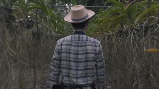 Jonge Boeren Man Lopen Naar Het Controleren Van Orchidee Tuinieren — Stockvideo