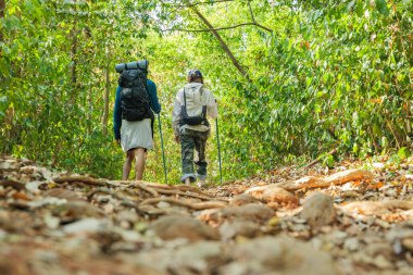 Seyahat eden genç çiftler sık ormanlarda yürürler, insanlar canlandırıcı dağ maceralarından zevk alırlar, çarpıcı doğa manzaralarını keşfederler, birlikte unutulmaz bir yolculuk, aktif açık hava yaşam tarzı takibi..