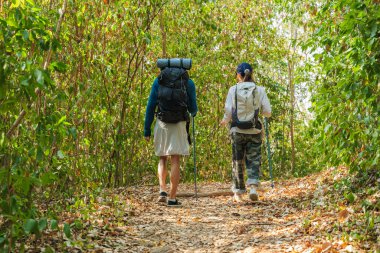 Yürüyüş yapan çift, sonbahar yürüyüşünün tadını çıkarıyor, canlı yeşil orman dağ patikalarını keşfediyor, gençler doğayı geziyor, sırık taşıyan sırt çantaları, yemyeşil yapraklar arasında güneş ışığı, güzel bir macera yaratıyor..