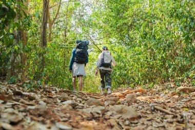 Genç çift orman yolunda yürüyor, insanlar doğa yolculuğunun tadını çıkarıyor, yemyeşil vahşi yolları keşfediyor, canlı doğal çevreyi keşfediyor, ağaçların arasında huzur buluyor..