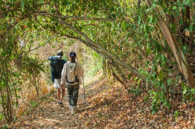 Seyahat et, genç çift sonbahar orman yolunda yürüyüş yap, huzurlu doğa yürüyüşünün tadını çıkar, insanlar dağ patikalarını keşfet, sırt çantalarını taşı, yürüyüş direklerini taşı, serinletici yaban hayatı yaşa..