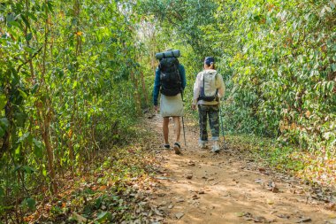 Sonbahar ormanlarında yürüyüş, genç çiftler doğal yolculuğun tadını çıkarırlar, dağ yolunda sırt çantaları taşıyan insanlar, etrafını saran yemyeşil zengin maceracılar..