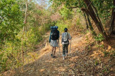 Seyahat eden genç çiftler orman yolunda yürürler, insanlar doğa dağ yolunu keşfederler, açık hava aktivitelerinden hoşlanırlar, sağlıklı yaşam tarzı yolculukları, sakin orman keşifleri..