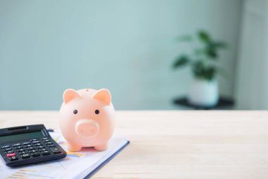 maaş, şeffaflık, para, tasarruf, vergi, uyum, ceza, banka, hususlar, hesap makineli domuzcuk bankası bütçenin yönetilmesine yardımcı olur, finansal başarı için planlama.