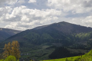 Dağlarda tatil.