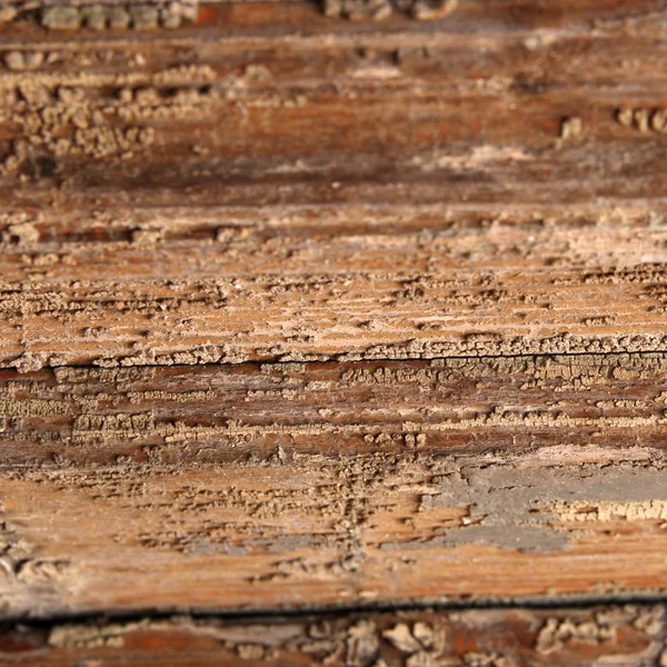 Holz mit natürlichem Korrosionsmuster — Stockfoto