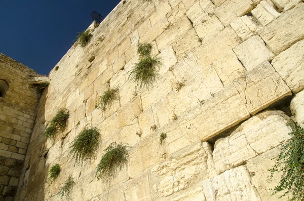 Ściany płaczu w Jerozolimie — Zdjęcie stockowe