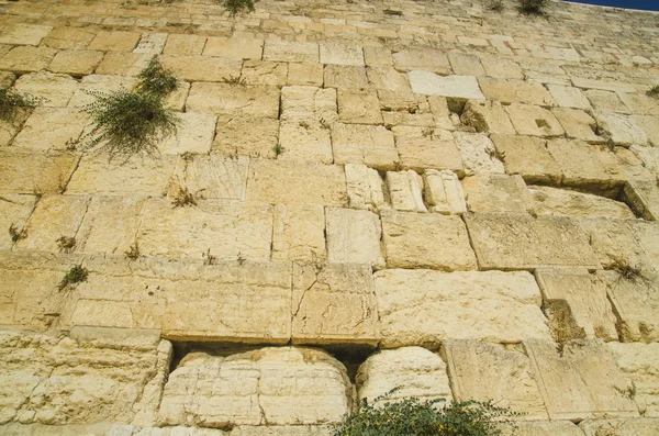 Wzór ściana płaczu w Jerozolimie — Zdjęcie stockowe