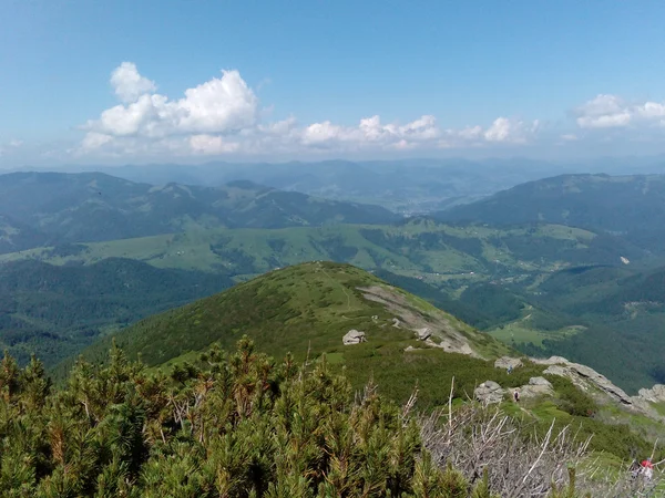 绿色的田野山顶峰 — 图库照片