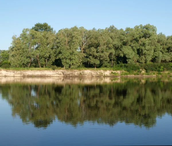 Bomen water reflectie — Stockfoto
