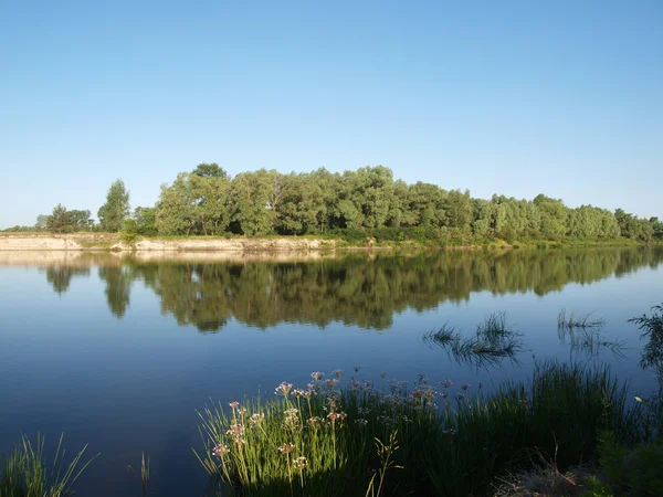 Desna floden i Ukraina — Stockfoto