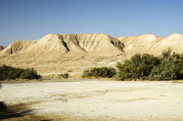 이스라엘 유대 사막 산 — 스톡 사진