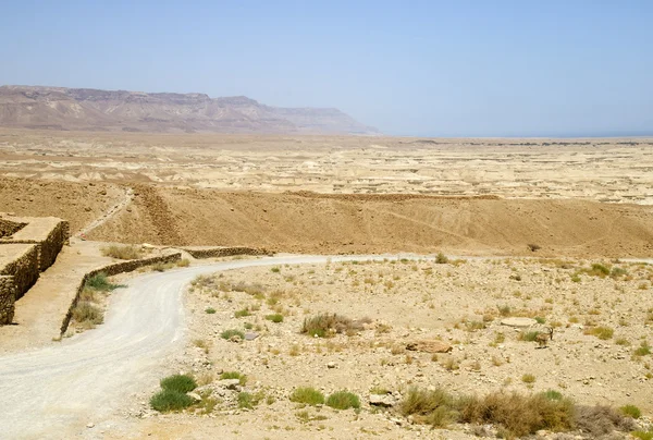 Camino en el desierto de Israel — Foto de Stock