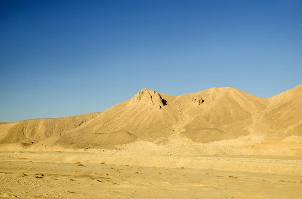 Sahara kum tepeleri — Stok fotoğraf