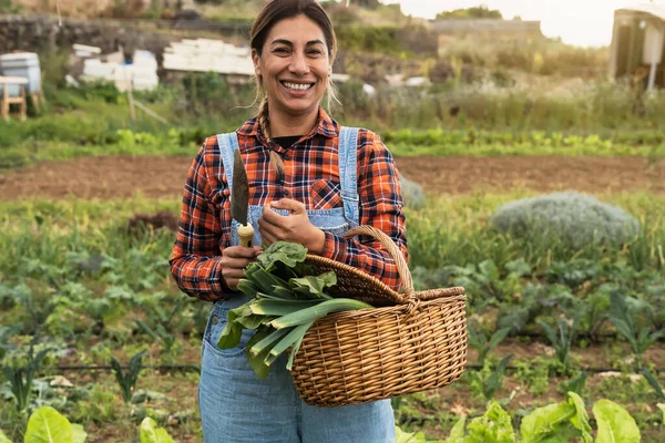 Agricultora Feliz Trabalhando Campo Segurando Cesta Legumes Frescos Conceito Estilo — Fotografia de Stock