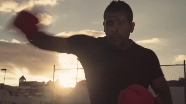 Boxeador Masculino Entrenando Duro Atardecer Joven Latino Haciendo Ejercicios Boxeo — Vídeos de Stock