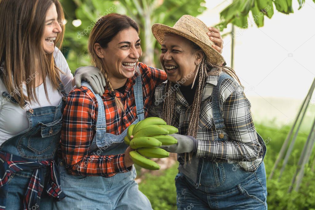 Happy female farmers having fun working in bananas plantation - Farm people lifestyle concept