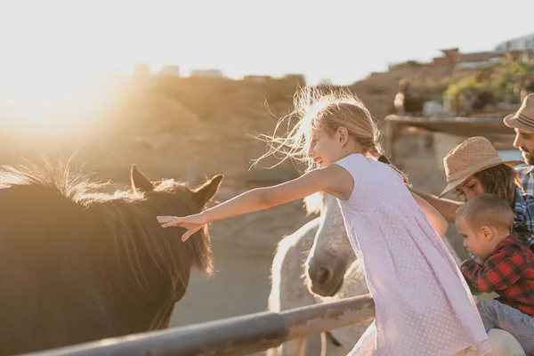 Keluarga Bahagia Bersenang Senang Dengan Kuda Dalam Peternakan Kandang — Stok Foto