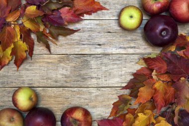 renkli yaprakları ve eski ahşap tahta üzerinde kırmızı olgun elma güzel closeup arka plan.