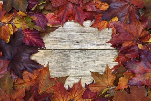 Beautiful colorful background with red and yellow leaves on old wooden board. — Stock Photo, Image