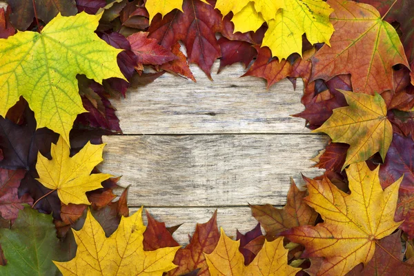 Beautiful colorful background with red and yellow leaves on old wooden board. — Stock Photo, Image