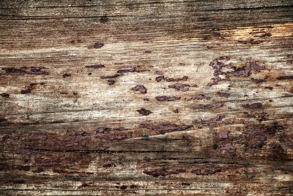 Bright grunge wood texture. — Stock Photo, Image