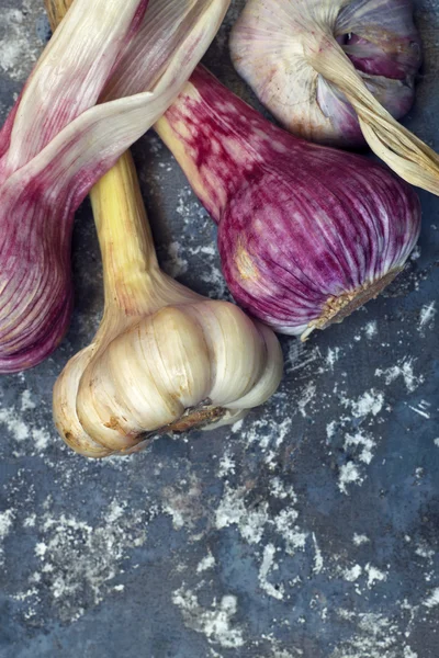 Primo piano di aglio fresco crudo su fondo rustico di ferro . Immagine Stock