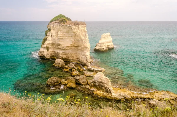 Sceniczny skalista skały Torre Sant Andrea, Salento, Włochy — Zdjęcie stockowe