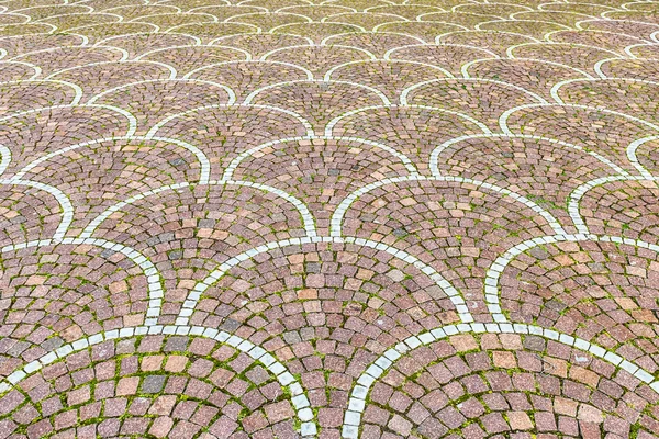 Sampietrini pavement in Rome, may be used as background — Stock Photo, Image