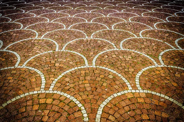 Sampietrini pavement in Rome, may be used as background — Stock Photo, Image