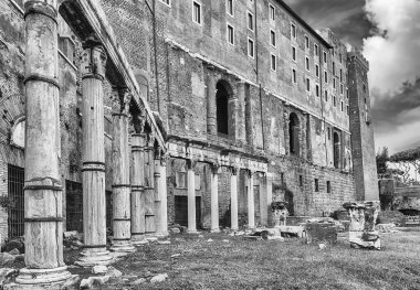 Forum, İtalya Roma kalıntıları üzerinde doğal görünümü