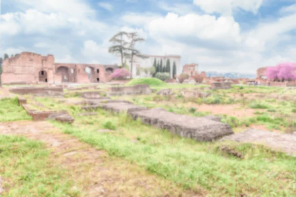 Intreepupil achtergrond met de ruïnes van de Palatijn in Rome — Stockfoto