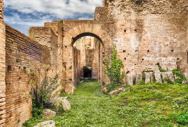 Forum, İtalya Roma kalıntıları üzerinde doğal görünümü