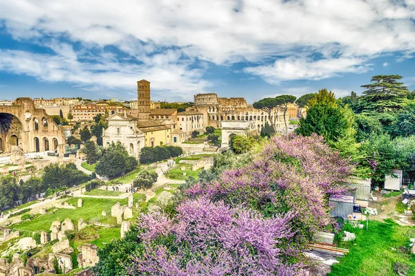 Malerischer Blick über die Ruinen des römischen Forums, Italien — Stockfoto