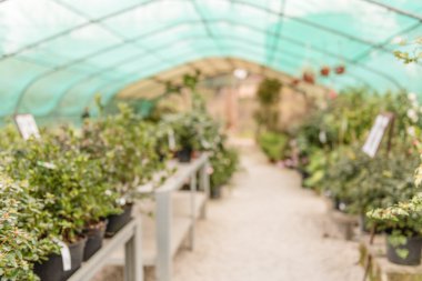 Ufuk arka plan ile bir sera iç