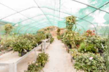 Ufuk arka plan ile bir sera iç