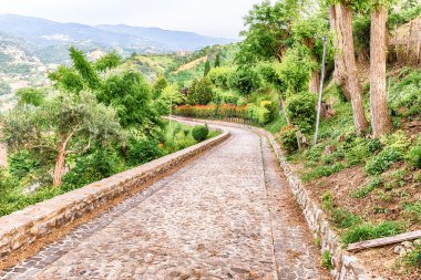 Doğayla çevrili taş döşeli yol