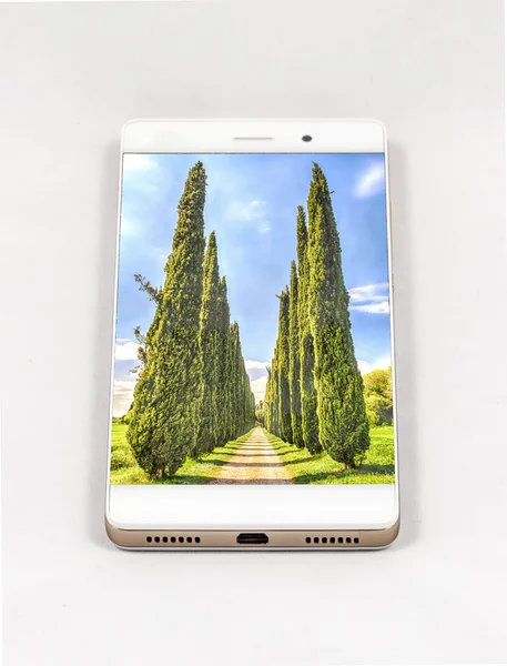 Smartphone moderno que muestra imagen a pantalla completa de cipreses, Italia — Foto de Stock