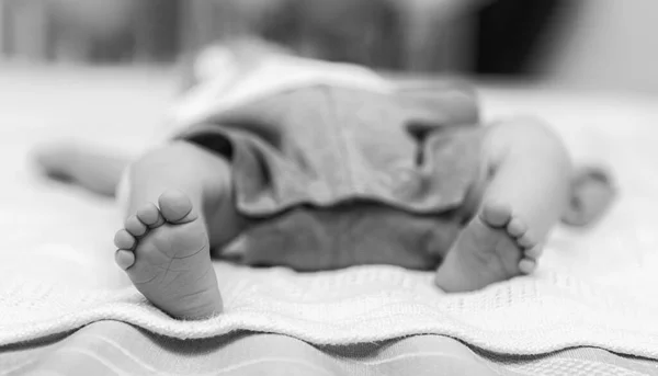 Closeup Newborn Baby Feet Beautiful Selective Focus Concept Maternity Tenderness — Stock Photo, Image