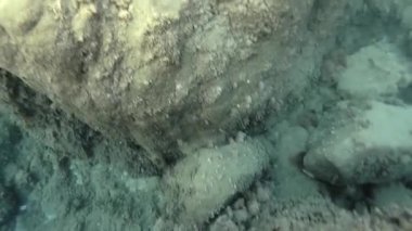 Tropea yakınlarındaki Parghelia sahilinde, Tiren Denizi, Calabria, İtalya 'nın bir parçası olan Saint Euphemia Körfezi' nde bulunan bir sahil beldesi.