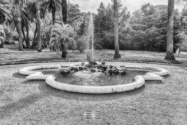 Rönesans tarzında güzel bir klasik çeşme, Roma şehir merkezi, İtalya