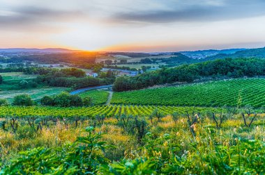 İtalya 'nın Monteriggioni kentindeki ortaçağ duvarlı kırsal manzarası