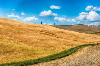 İtalya 'nın Toskana kentindeki kırsal alanların manzarası. Tarım ve tarım arazileri kavramı
